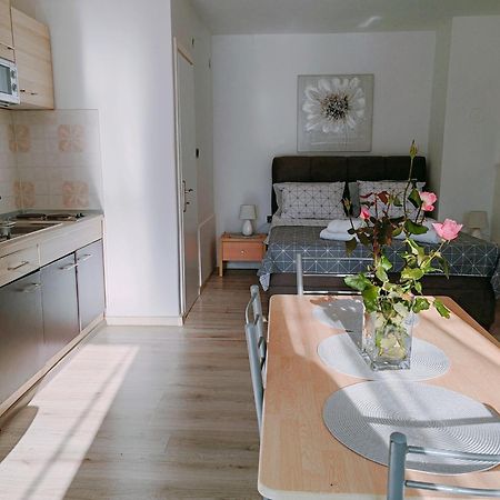 Marko Apartment ロヴィニ エクステリア 写真