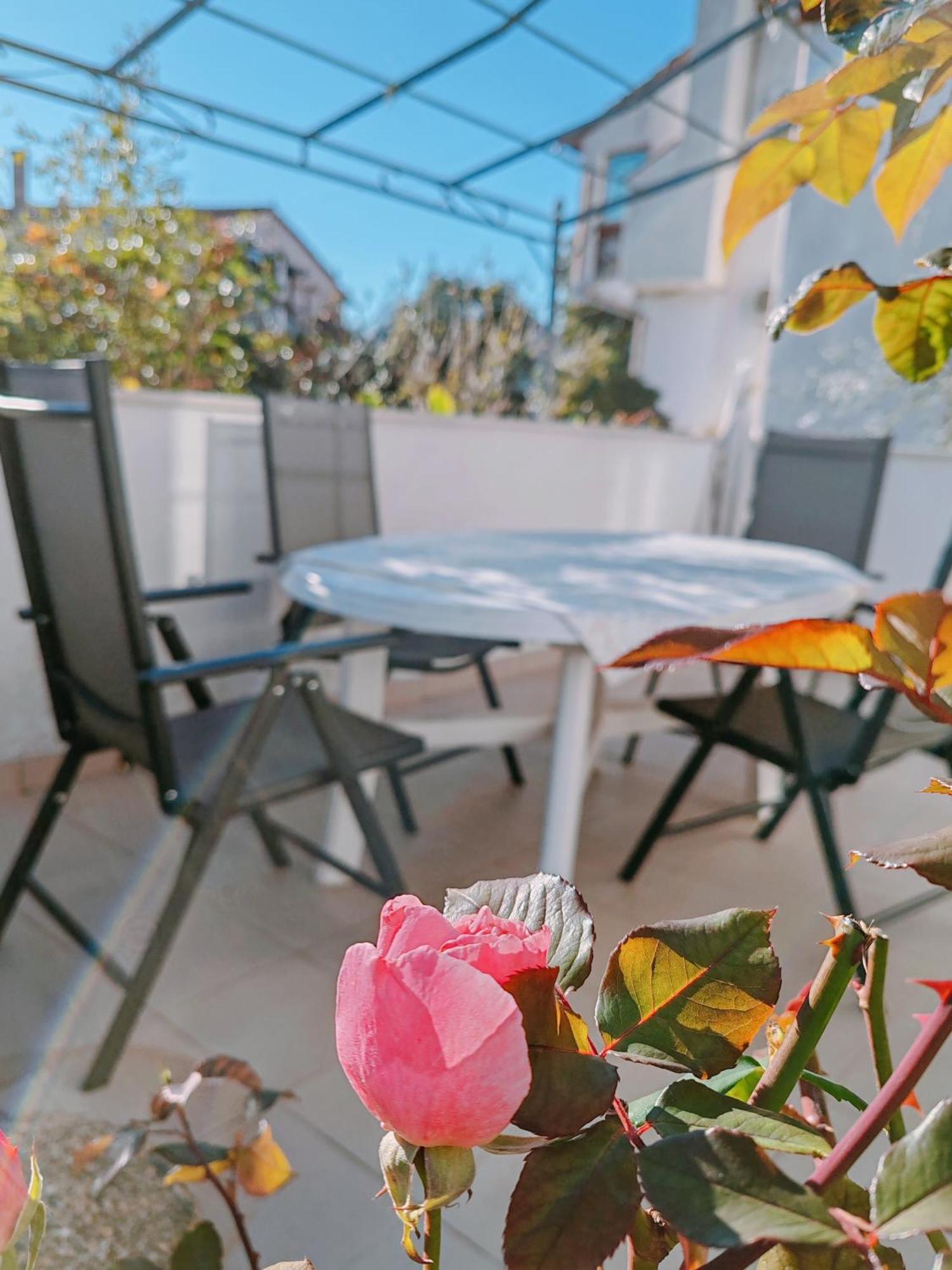 Marko Apartment ロヴィニ エクステリア 写真